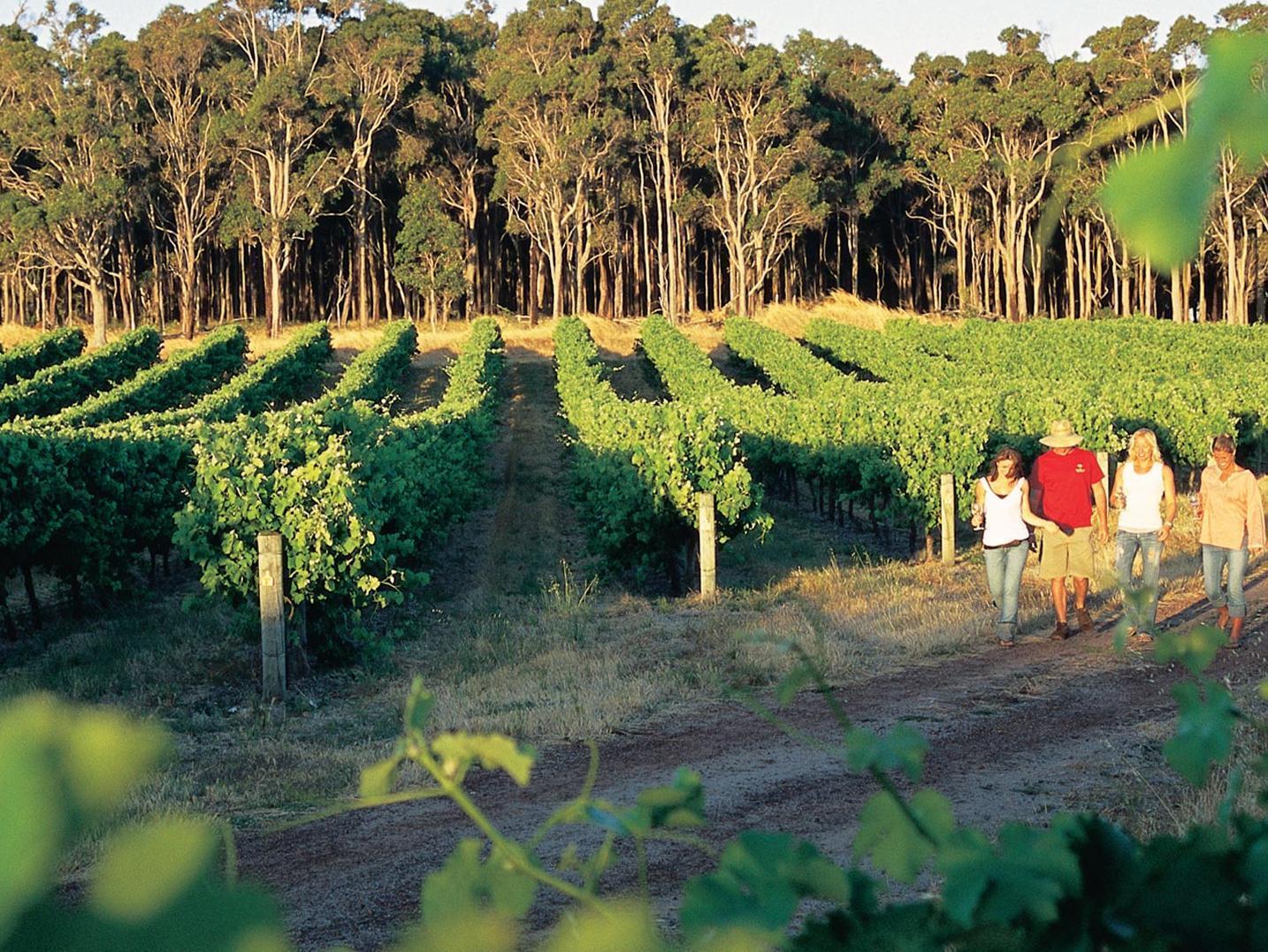 Bridgefield pensión Margaret River Exterior foto